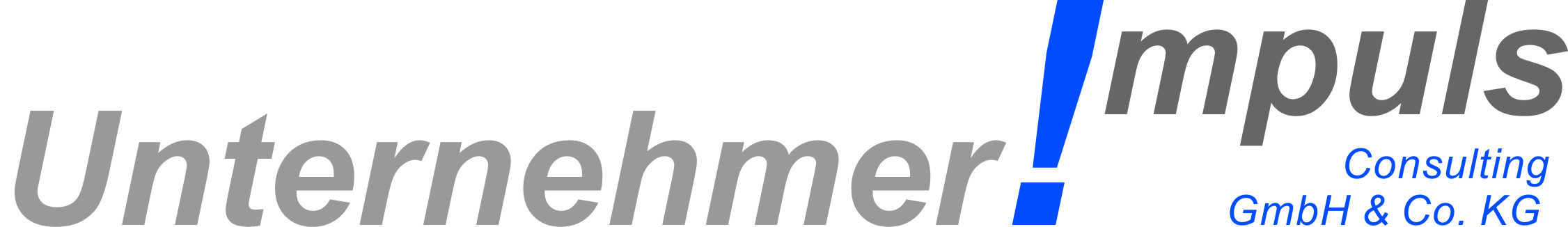 Unternehmerimpuls Logo
